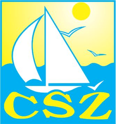 Organisation logo
