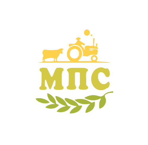Organisation logo